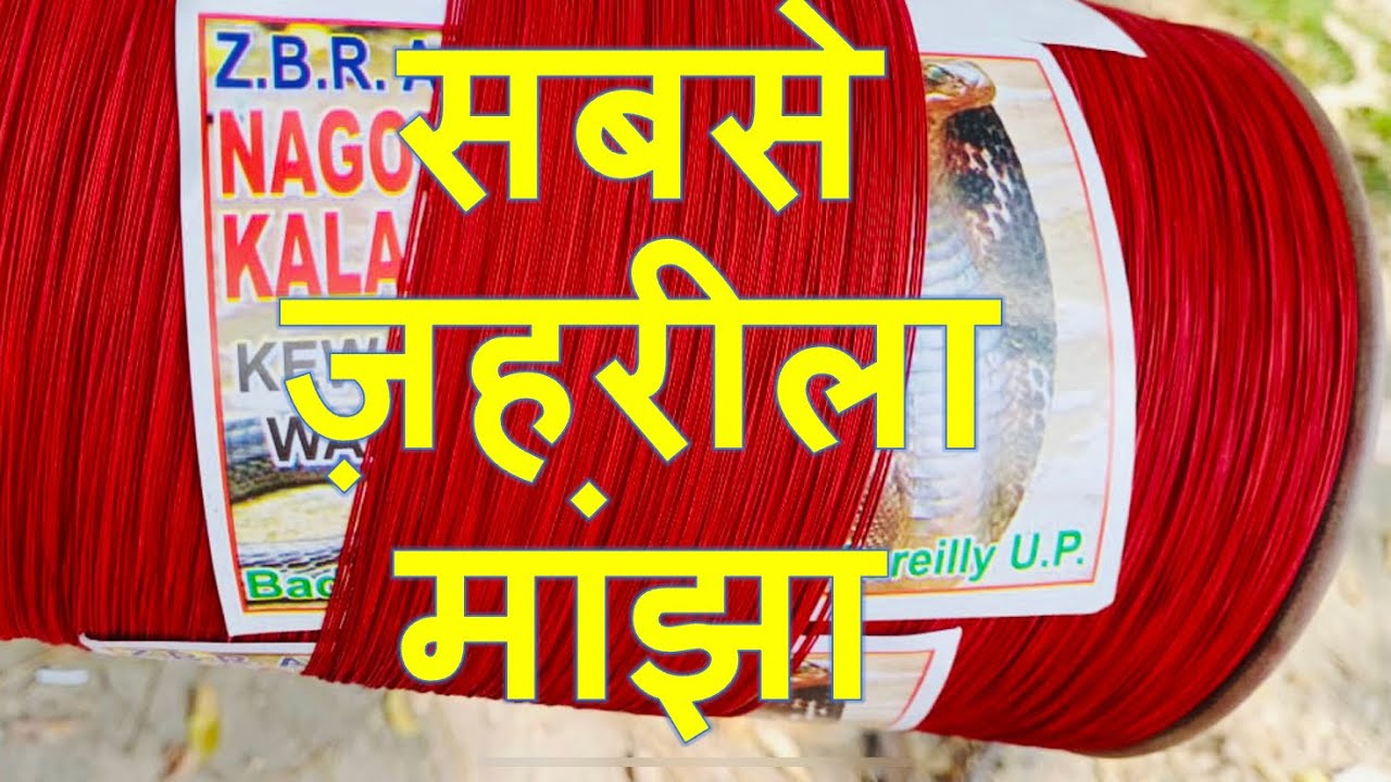 Top Manjha Maker - Zubair Ahmad - Bareilly UP