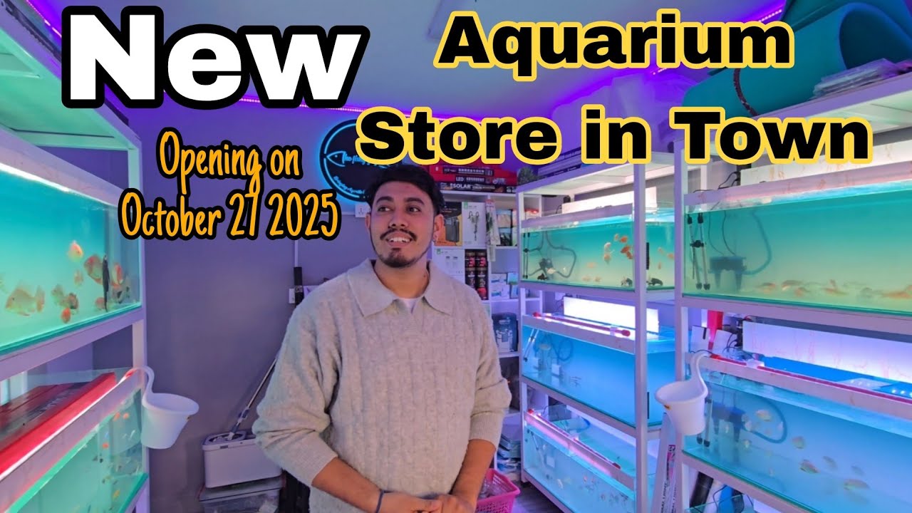 New Aquarium shop in Town- The fishy Guy
