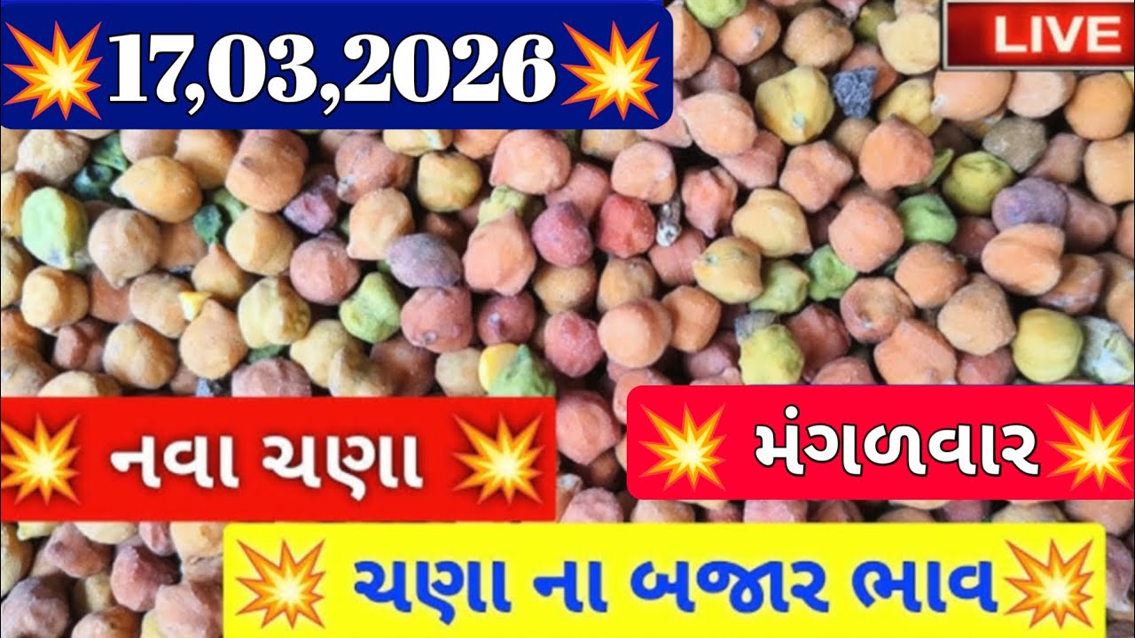 ચણાના બજાર ભાવ / આજના ચણાના બજાર ભાવ / ગોંડલ ચણાના બજાર ભાવ / 17,03,2026