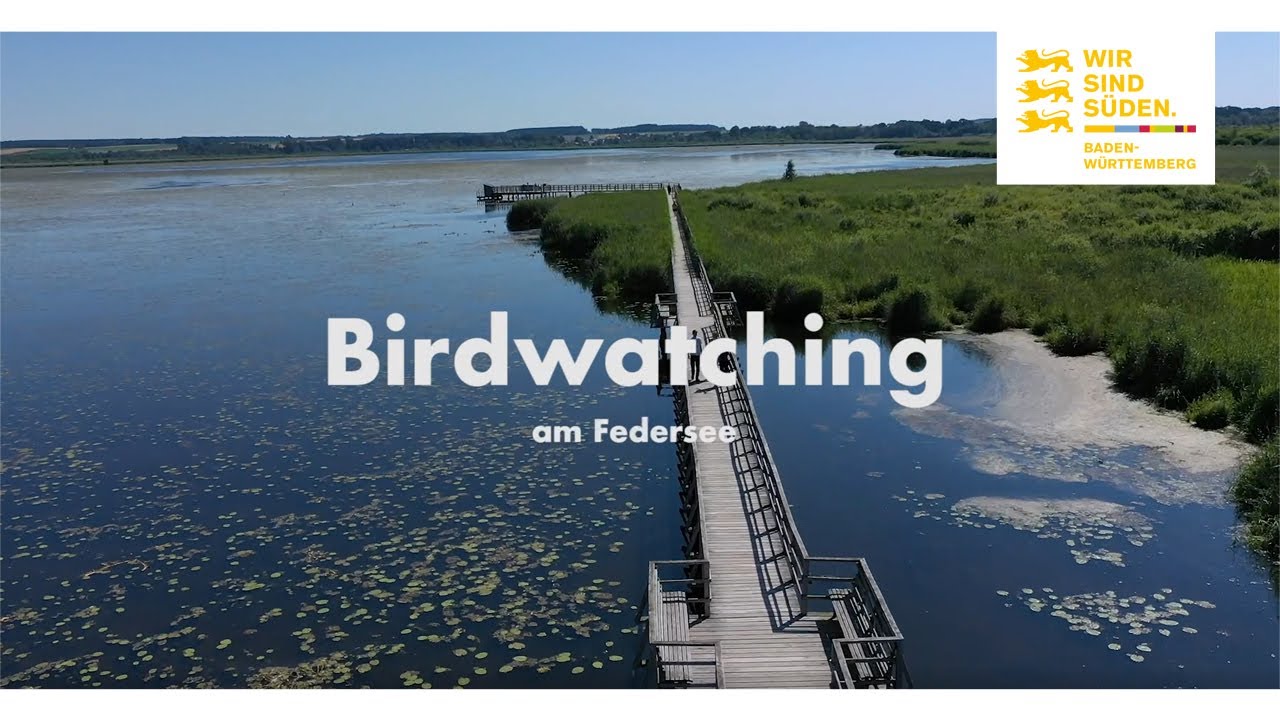 Vogelbeobachtung am Federsee | Baden-Württemberg