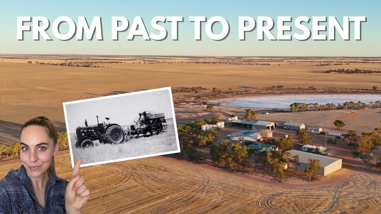 Как была построена эта ферма (с помощью старого оборудования и упорного труда)