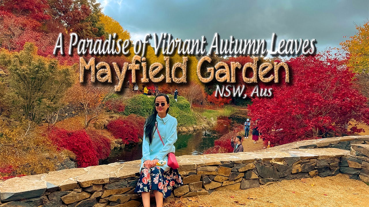 Captivating Autumn Leaves at Mayfield Garden: A Spectacular Display of Colors | NSW Australia 2023