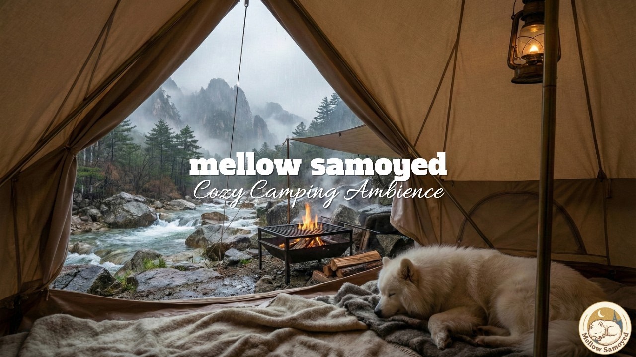 Cozy Camping Ambience by the River 🌊🔥 Crackling Campfire & Flowing Water Sounds (1 Hour)
