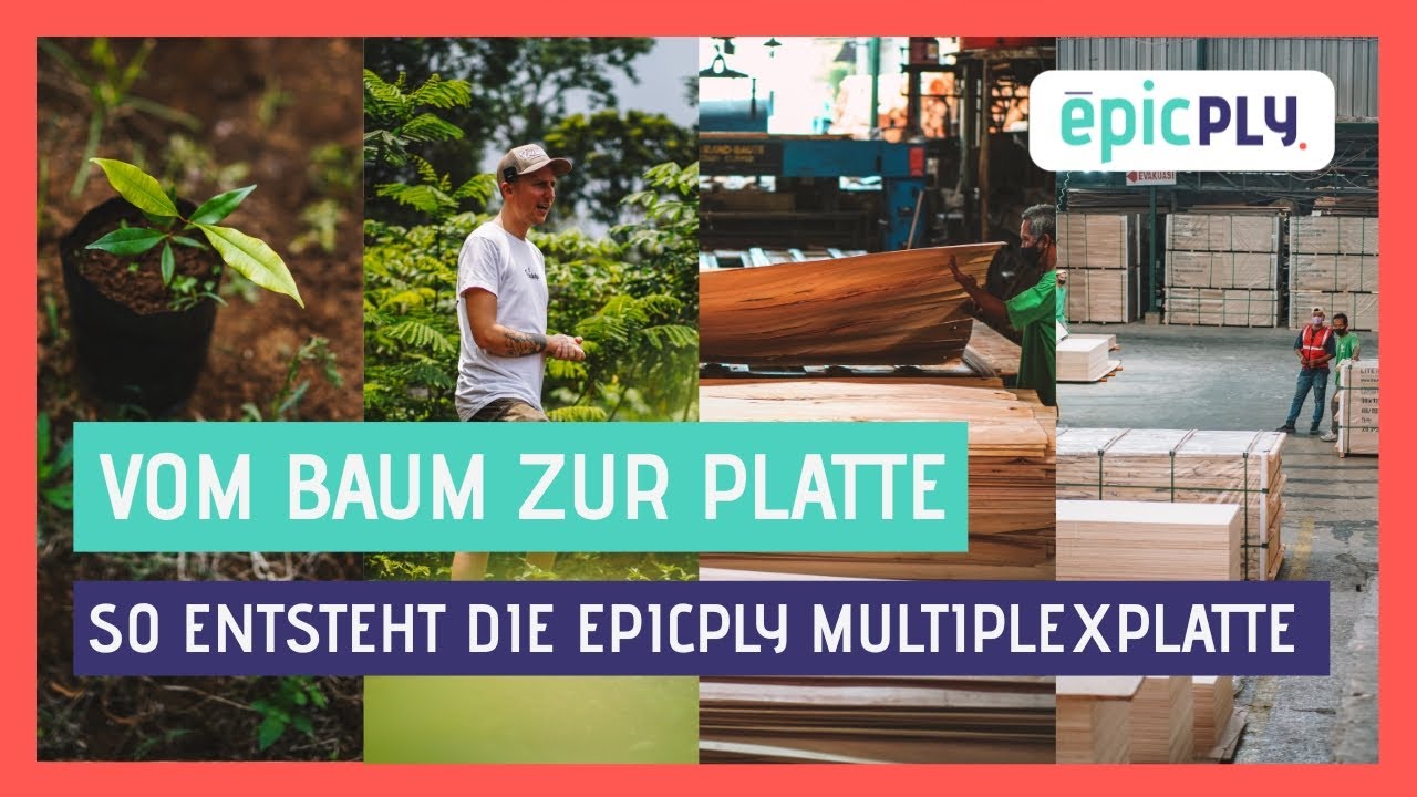 epicPLY Leichtbau‑Multiplexplatte aus Indonesien &ndash; nachhaltige Produktion & Forstwirtschaft