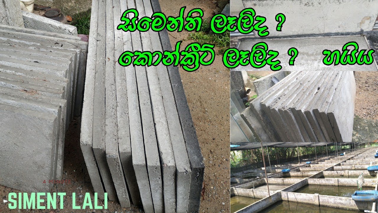 අඩු වියදමකින් මාලු ටැංකි ලෑලි නිර්මානය හරි විදියට සරලව මුල සිට අගටම