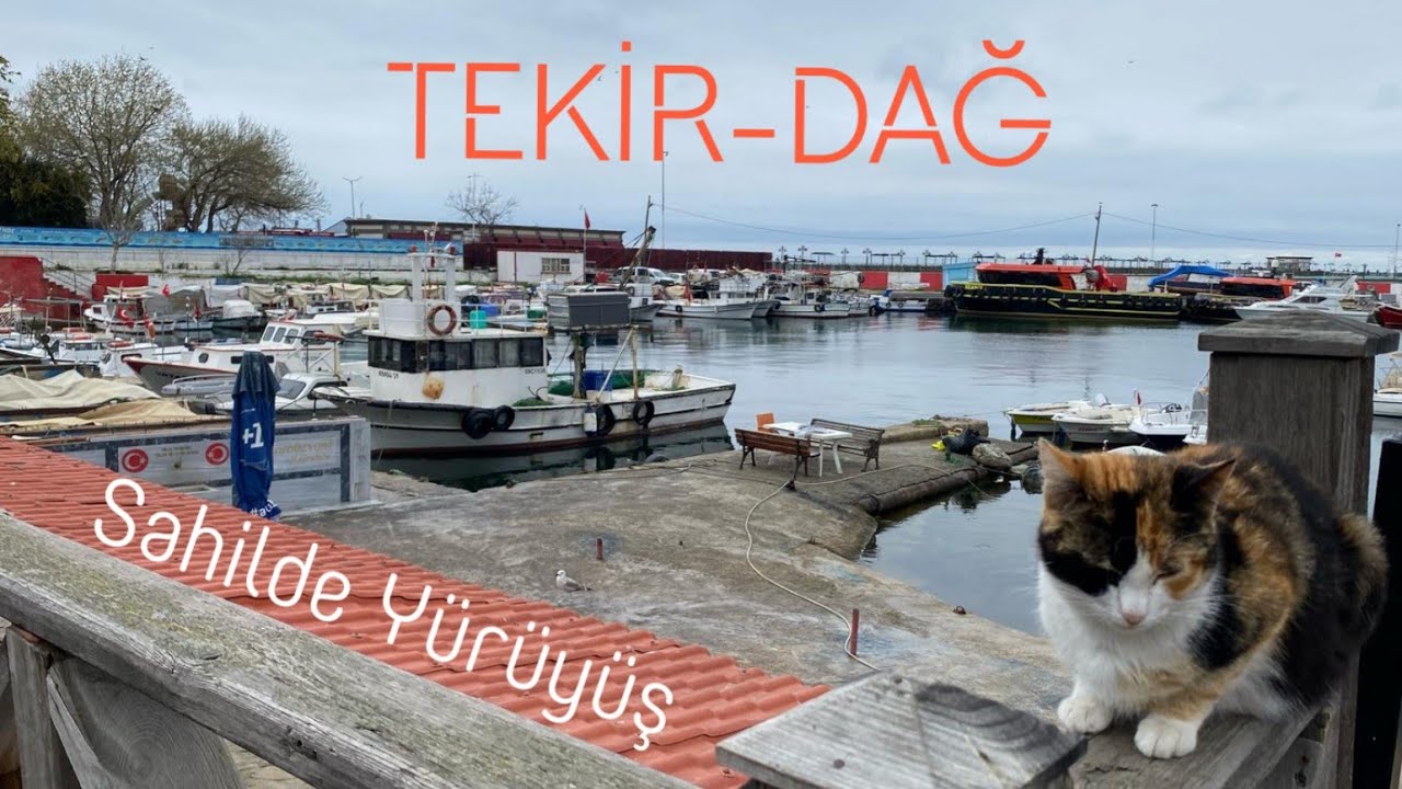 Tekirdağ Sahilde Kesintisiz Yürüyüş
