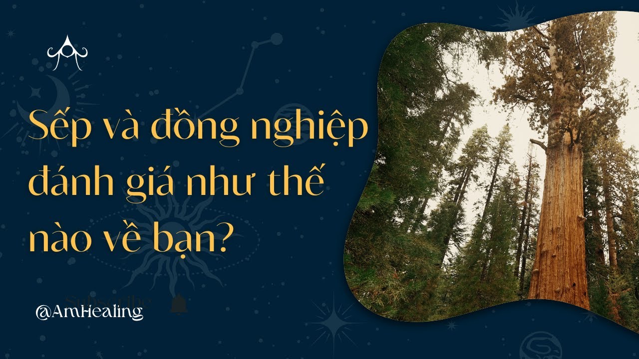 Chọn 1 tụ bài : Sếp và đồng nghiệp đánh giá như thế nào về bạn ?