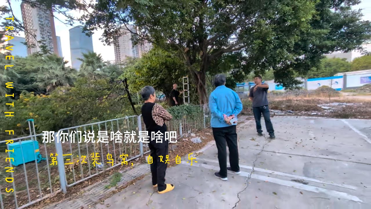 AD1 搞个边缘的秘密娱乐基地, 结果好多人｜Building Homes for Birds and Bugs in a Forgotten City Corner