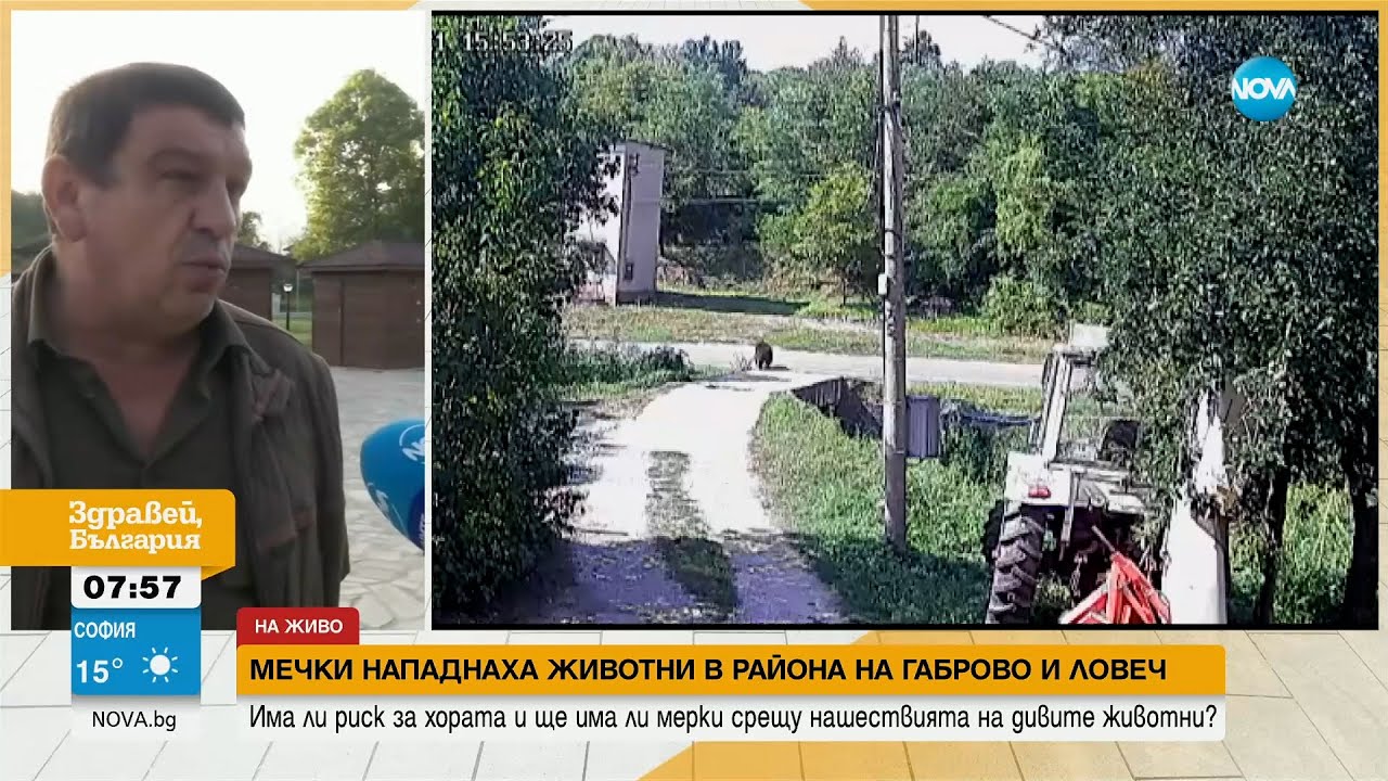 Мечки нападат животни в района на Габрово и Ловеч - Здравей, България (13.09.2023)