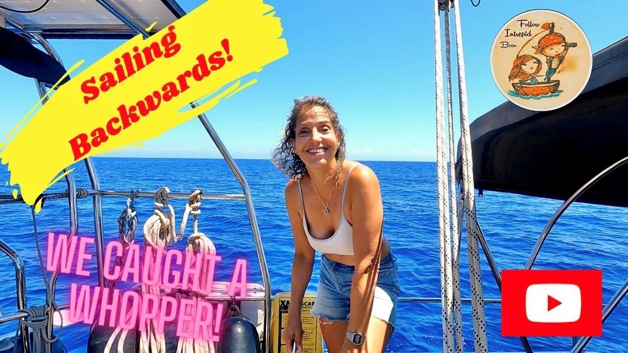 Sailing slowly BACKWARDS up the Mediterranean | Fishing in the Med - finally catching a whopper! #28