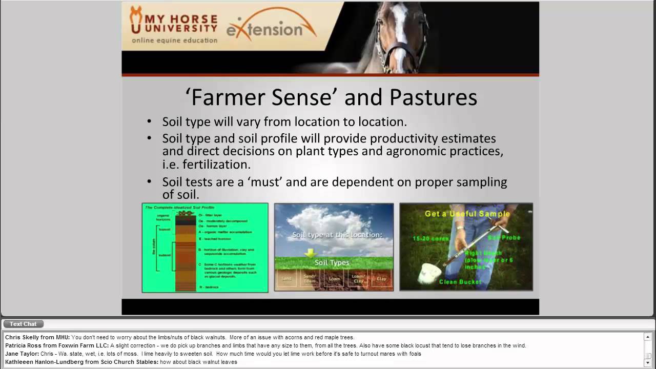 Pasture Management for Horse Acreages