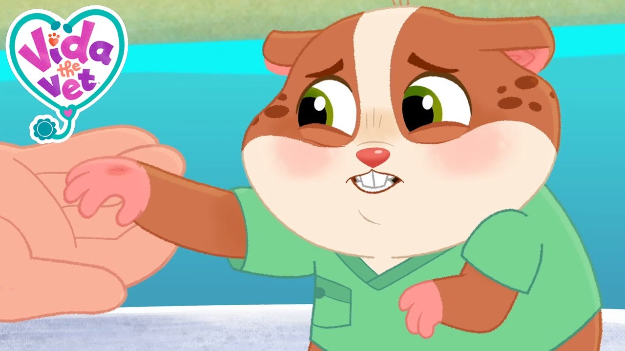 Will Popcorn Ever Play Guitar Again?! 🎸🤕 | Vida the Vet | Cartoons for Kids
