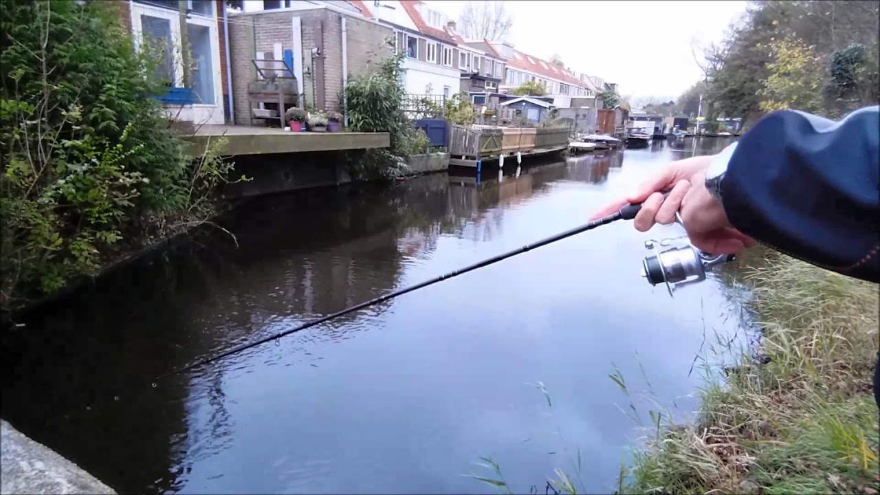 001# Jagende Snoek