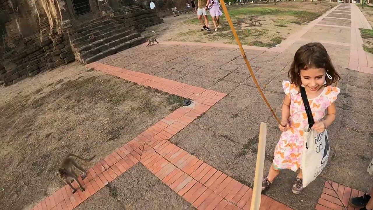 Lopburi Monkey village here we go! This is our first time visiting the monkey temple.