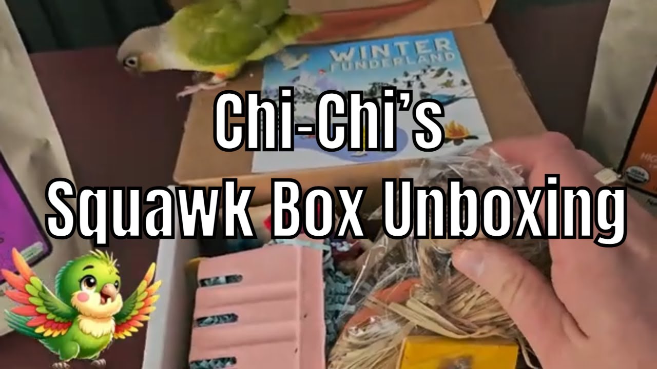 Chi-Chi’s Squawk Box Unboxing & Haul! Toys, Treats, and Harrison's Bird Food