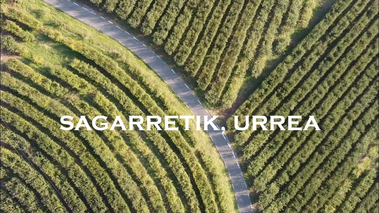 Zapiain Sagardoa: Sagarretik, urrea