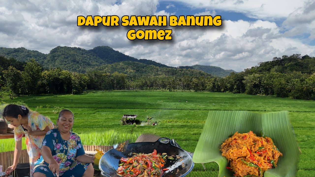 KOLEKSI BURUNG BANUNG || SUASANA PAGI DI RUMAH BANUNG || MASAK DI DAPUR SAWAH