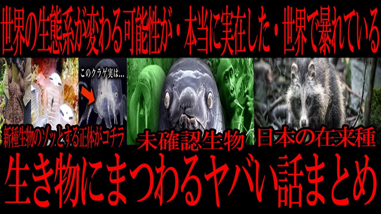 【切り抜き】 生き物にまつわるヤバイ話まとめ【たっくーTV/作業用】