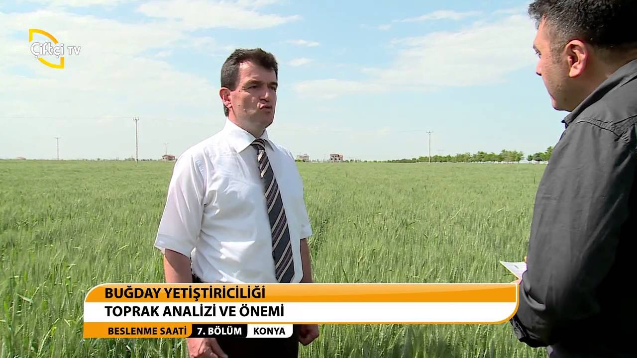 BESLENME SAATİ - BUĞDAY YETİŞTİRİCİLİĞİ