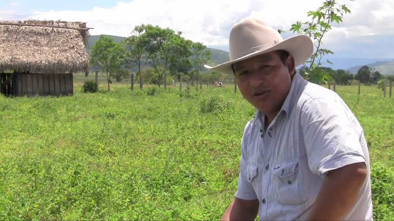 Indígenas Uwa apuestan por un futuro sin petróleo