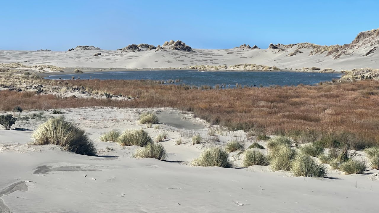 Discovering Nature's Wonders: Farewell Spit and Wharariki Beach Expedition, New Zealand 2028.08