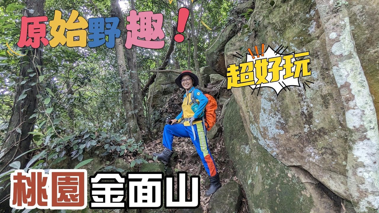 超好玩桃園金面山，原始野趣，山形尖銳酷似鳥嘴，雲霧繚繞，大溪八景鳥嘴山，桐花季遍地落花，浪漫至極，幸運的人，還有機會看到血藤花開。