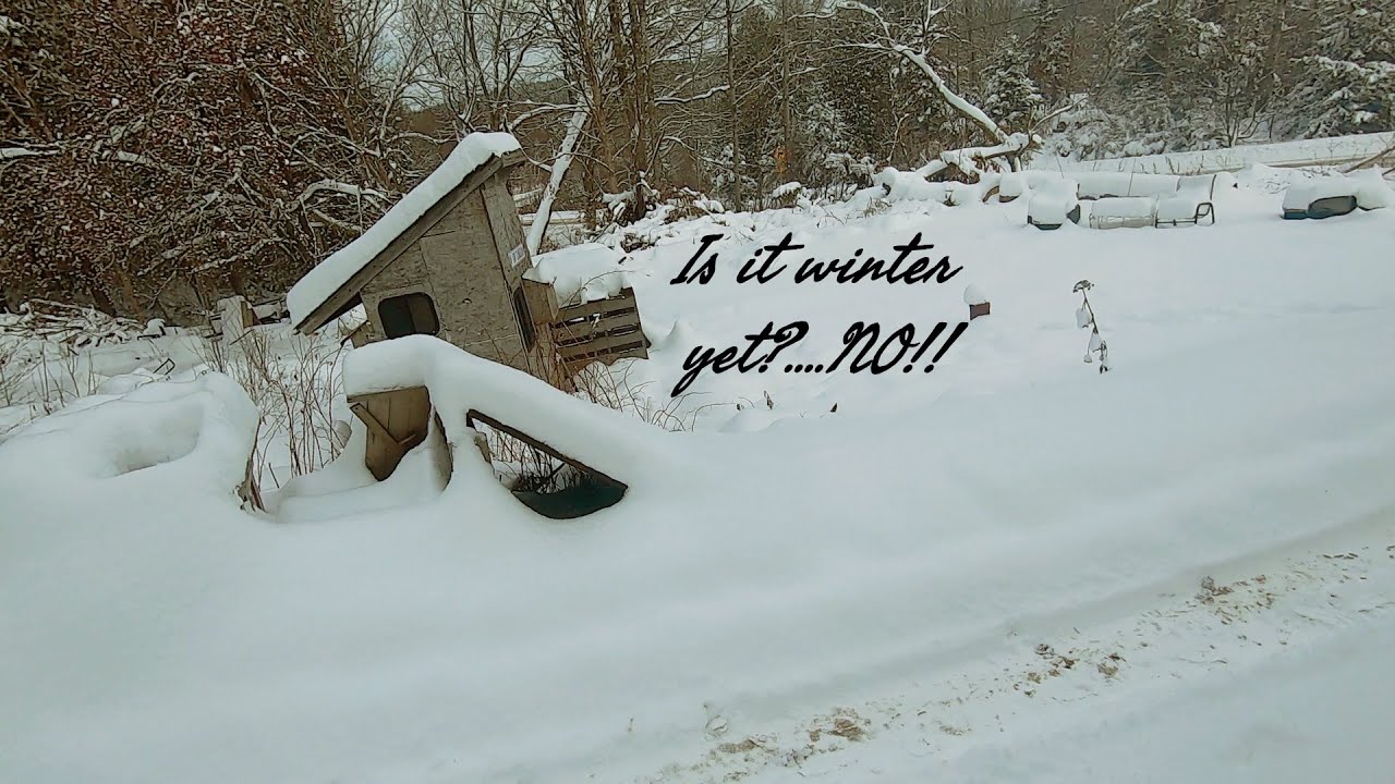 WINTER HOMESTEADING IN CANADA!