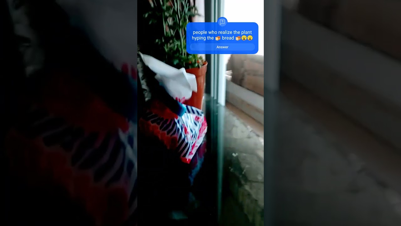 the chocolate Strawberry trend with Indian bread and a plant 🍞🌼🌼🌼🏵