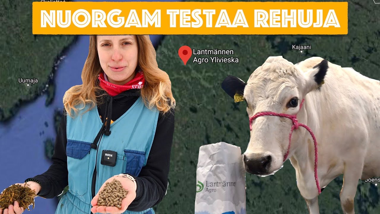 Vieraillaan rehutehtaalla