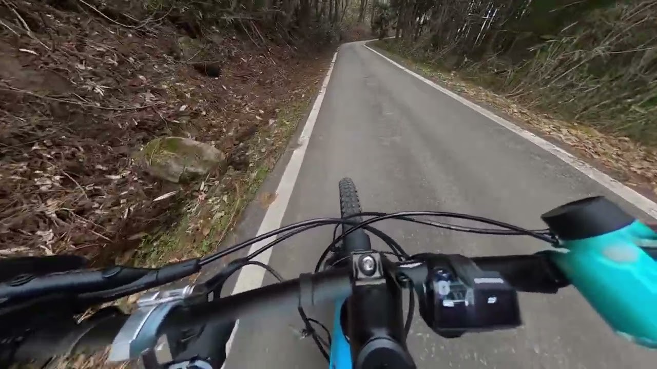 ひるがの高原　e-mtb コース