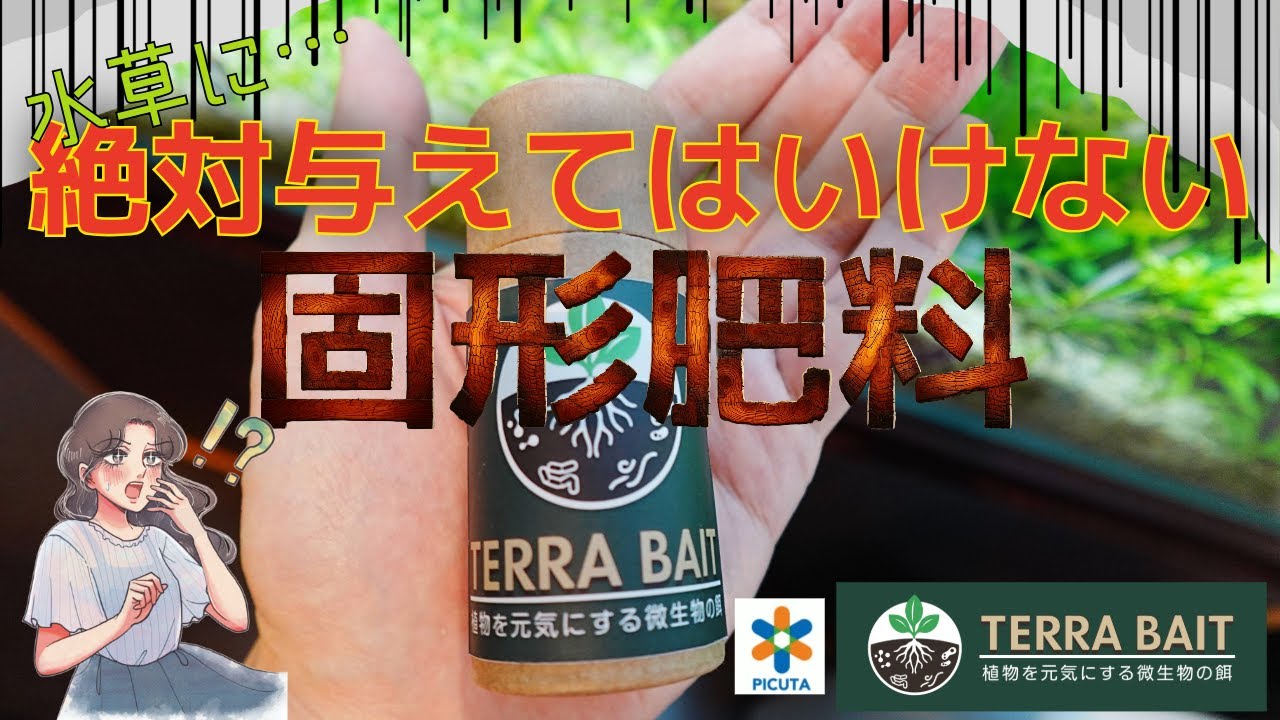 【注意喚起！】水草に与えると絶対後悔する！いま話題の固形肥料テラベイトのひみつを暴露します！！