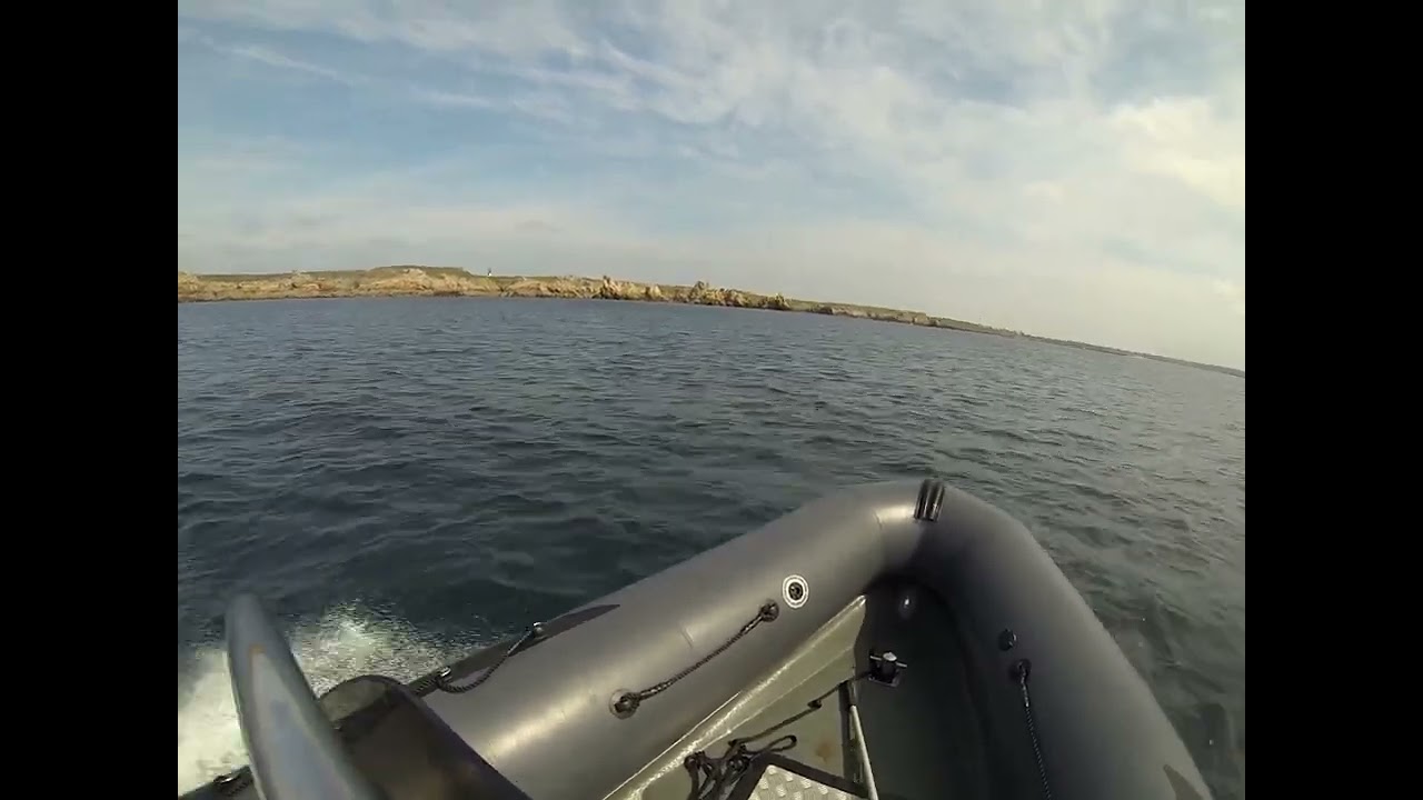 Narwhal 620 wb