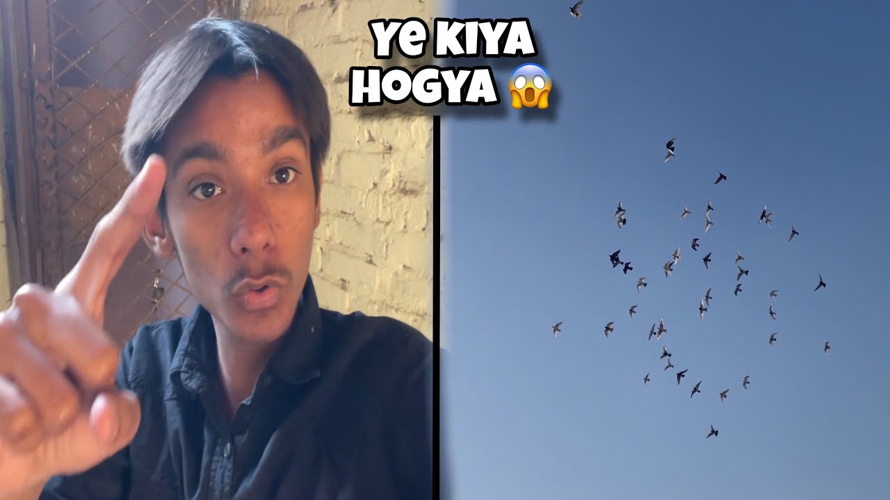 Dur chale Gay Kabuter Ab Kiya Hoga 😰