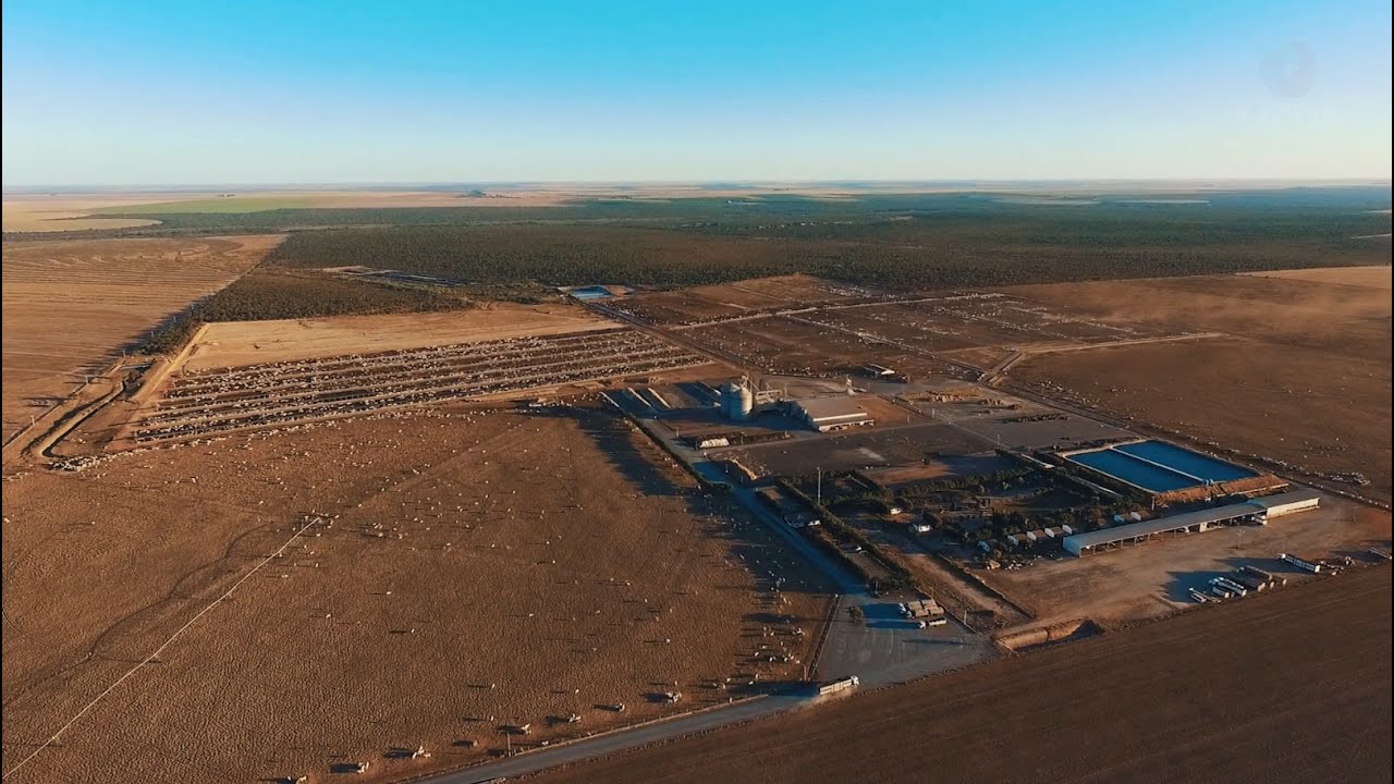 Captar Agrobusiness - Esterco Bovino Humificado