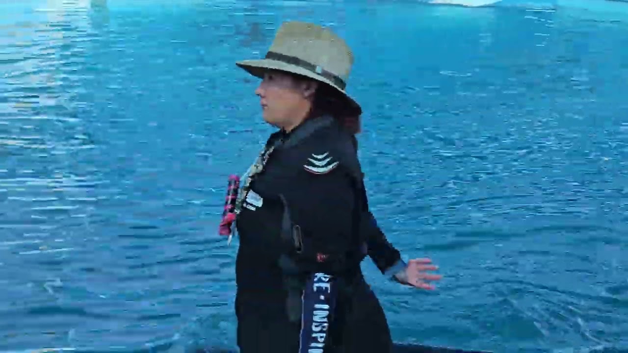 Show de Lobos Marinos en Aquaventuras Park, Bahia de Banderas #lobosmarinos #2026 #puertovallarta 