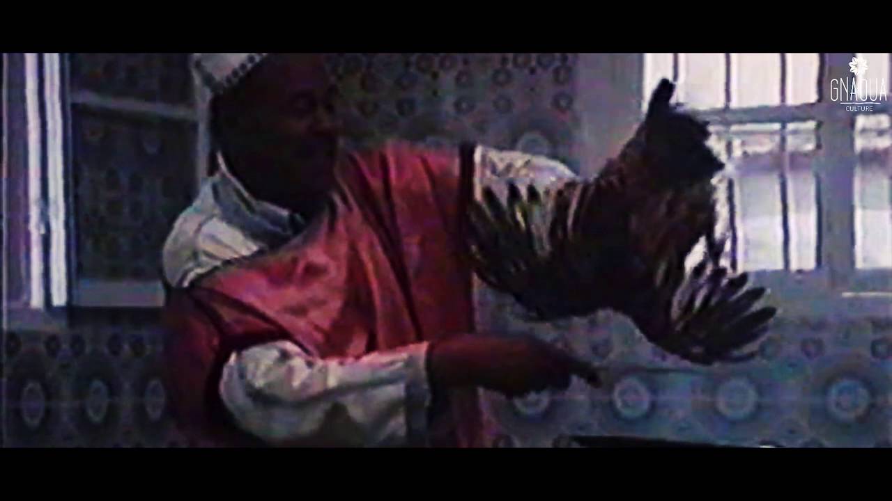 Rainbow Trance - Documentaire sur le mysticisme Gnaoua