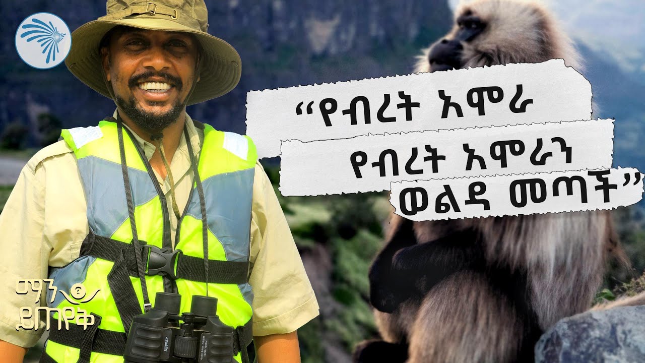 ጋዜጠኛ ሄኖክ ስዩም የሰጠው ምላሽ | ማን ይጠየቅ @ArtsTvWorld