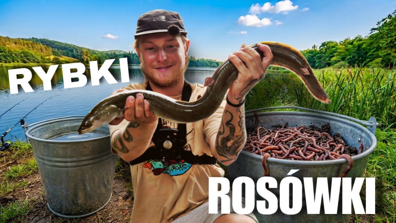 ZŁOWIŁEM WĘGORZA TORTĘ!