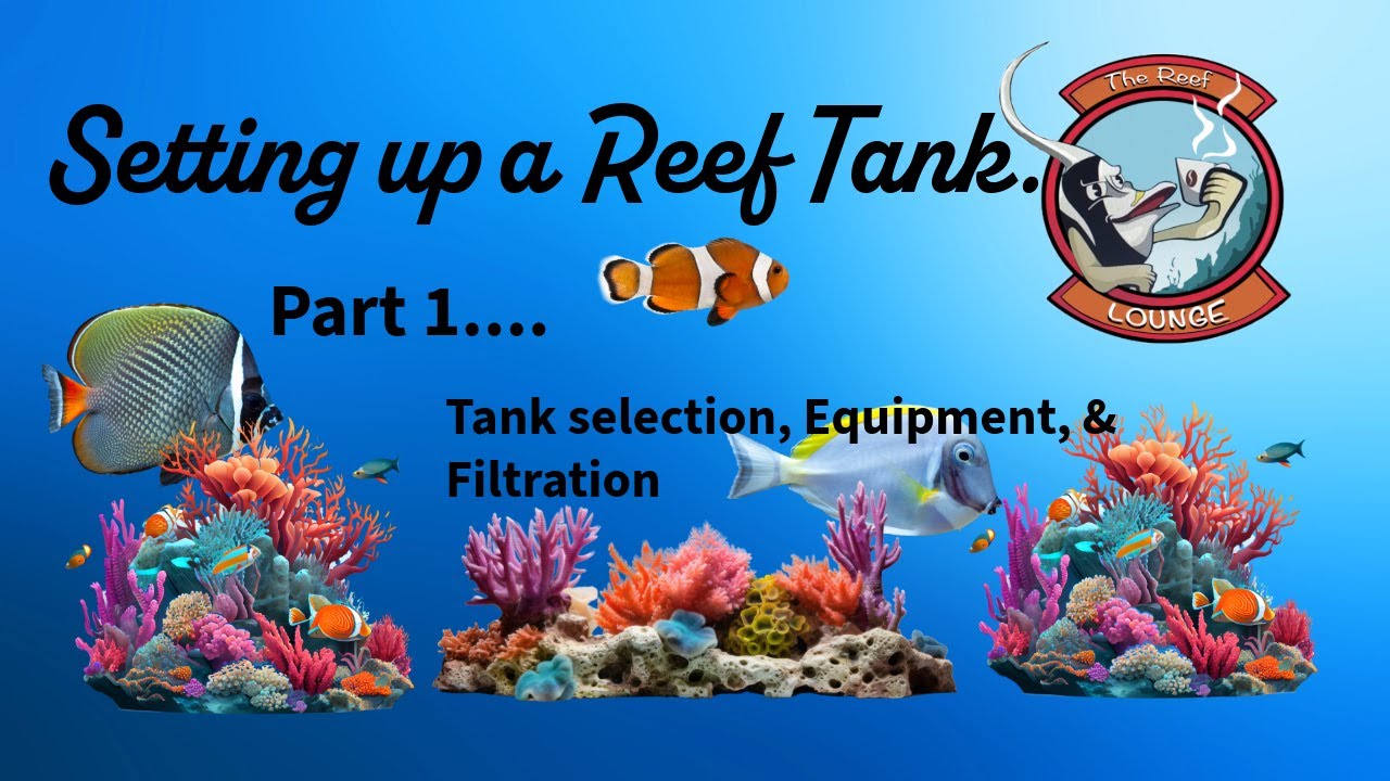 Reef  tank setup episode 1