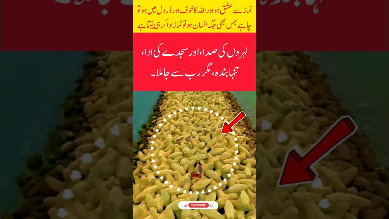 boy se prayer on the river edge #motivation #preach #love #pray #islamicleader #viralvideo #shorts