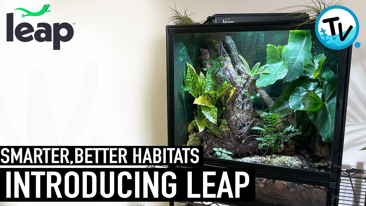 Introducing Leap - Smarter, Better Habitats