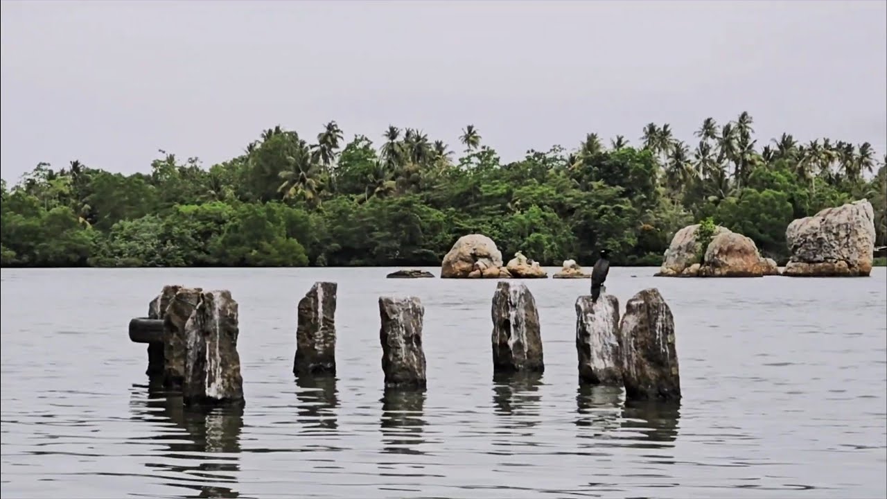 Koggala lake .. 🇱🇰..Habaradowe Sri Lanka