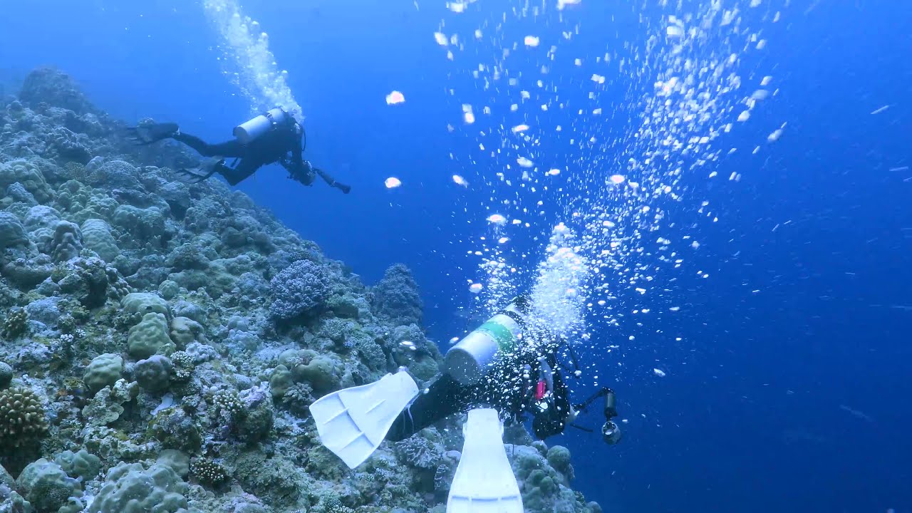 Palau Diving with Reef Hooks