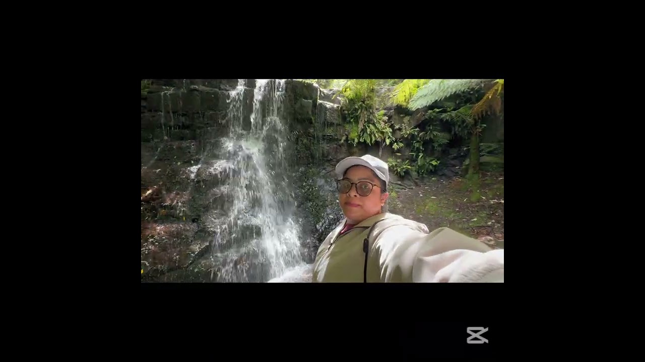 Fern Tree Hiking | Mt.Welington 