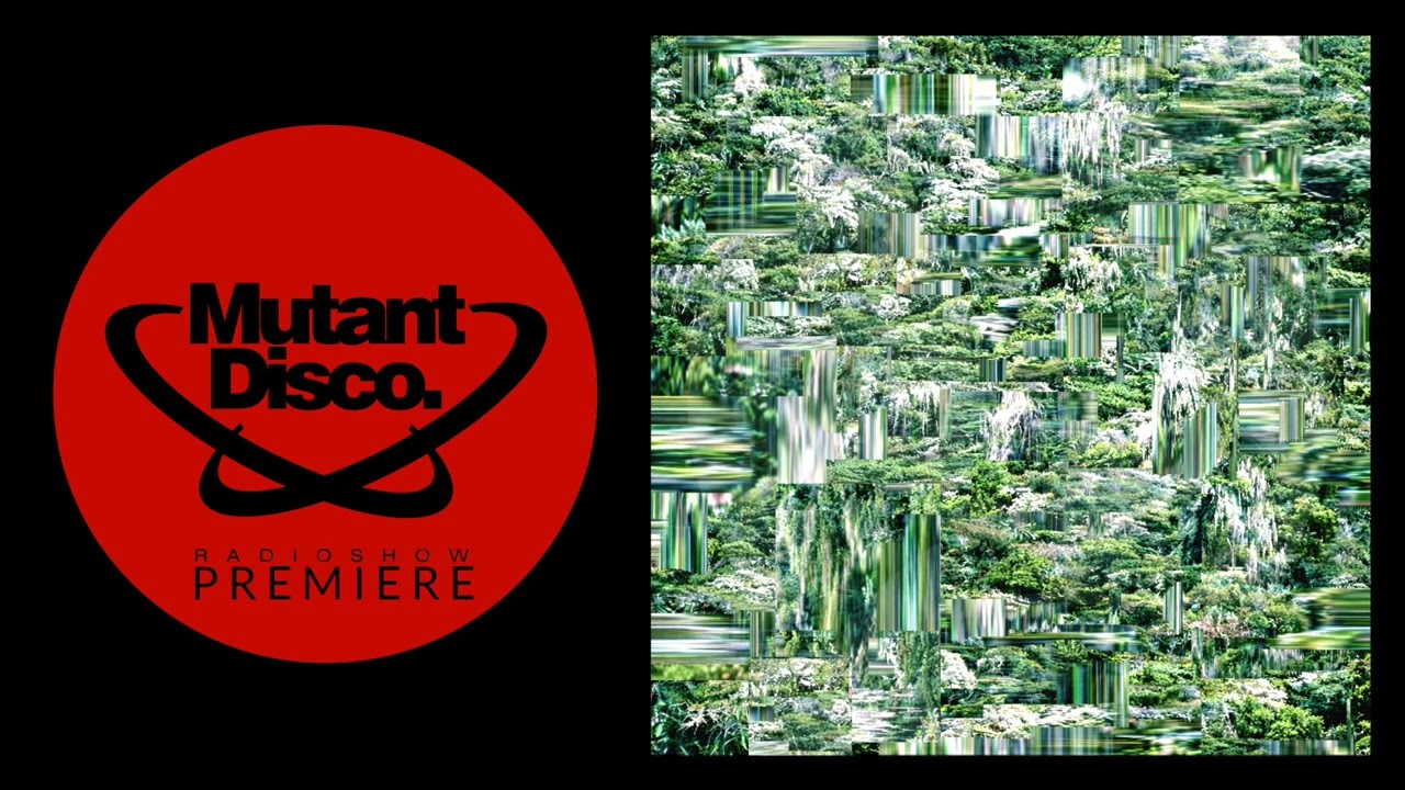 PREMIERE : Franco Pauletti - Danny Boy DB (Natural Positions)