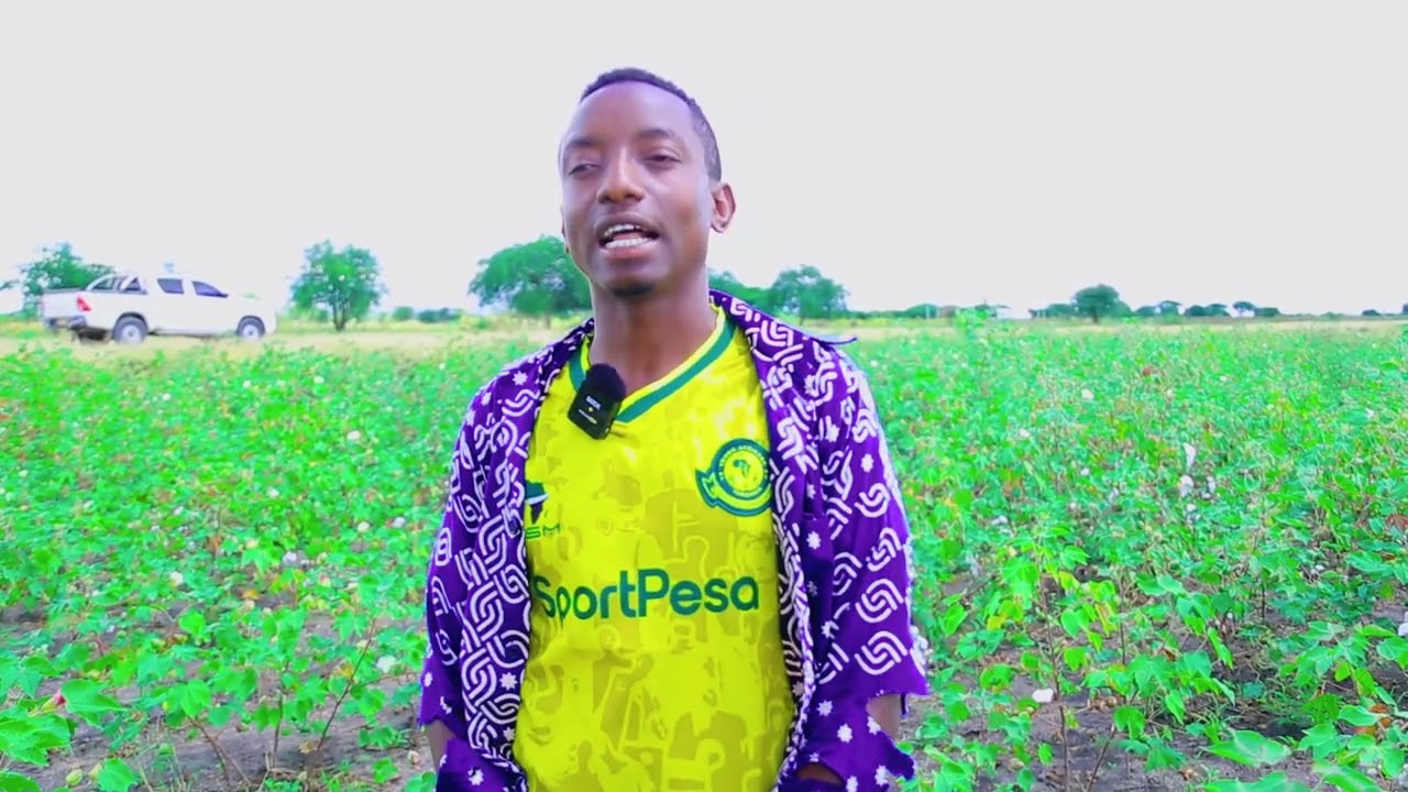 Matumizi ya mbolea Kwenye pamba yaongeza tija, mavuno yapaa Igunga