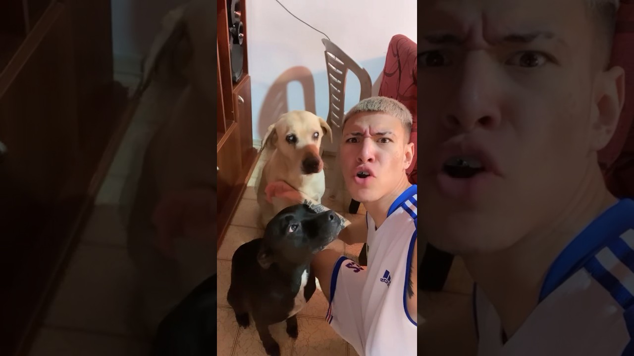 EL VIEJO 👴🏻 ROCKY ❤️ Y LA JENNIFER LOPEZ 👩🏿‍🦱🫶🏻🩵 #argentina #viral #youtubeshorts #parati