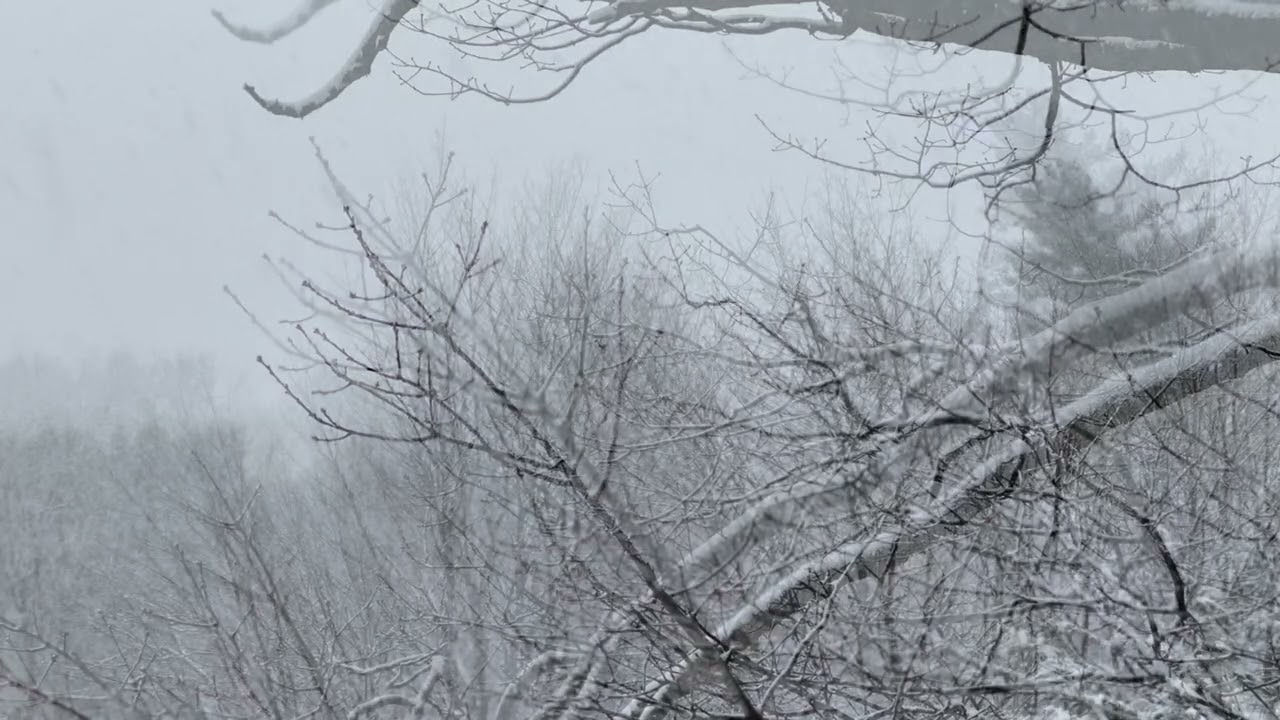 Cozy Winter Reset: Soft Piano Music & Snowfall Background for Peace