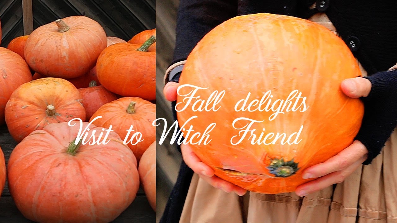 Fall Delights + Visit to  a Witch/Fairy Friend  | Merveilles en Papier