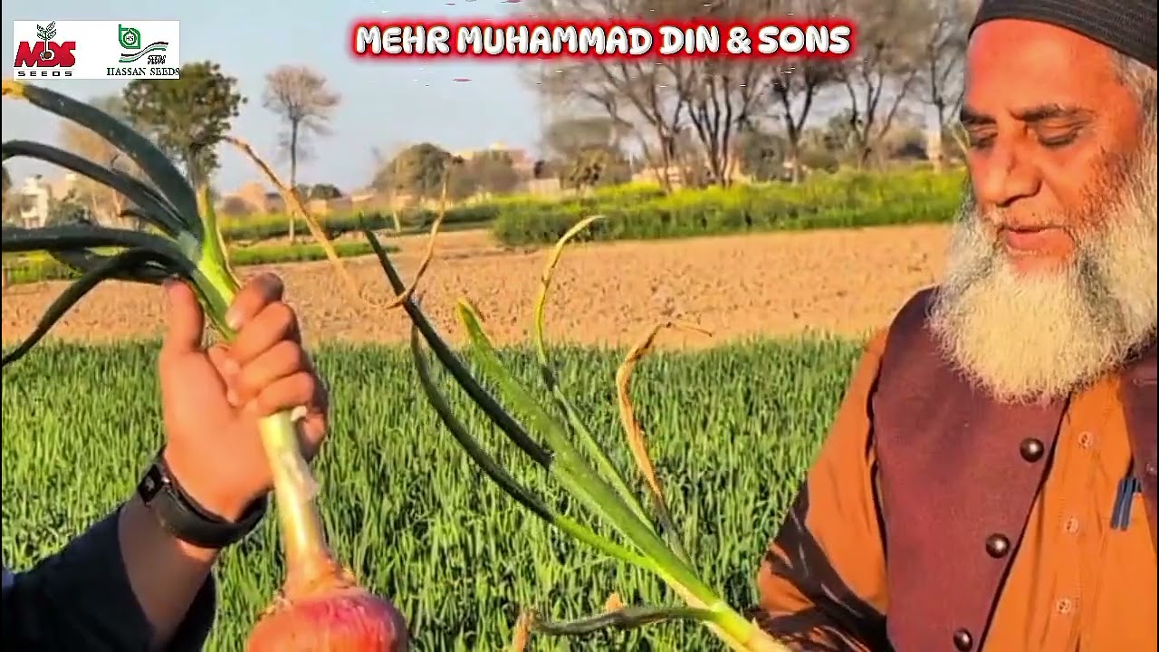 Most iconic product of MEHR MUHAMMAD DIN & Sons